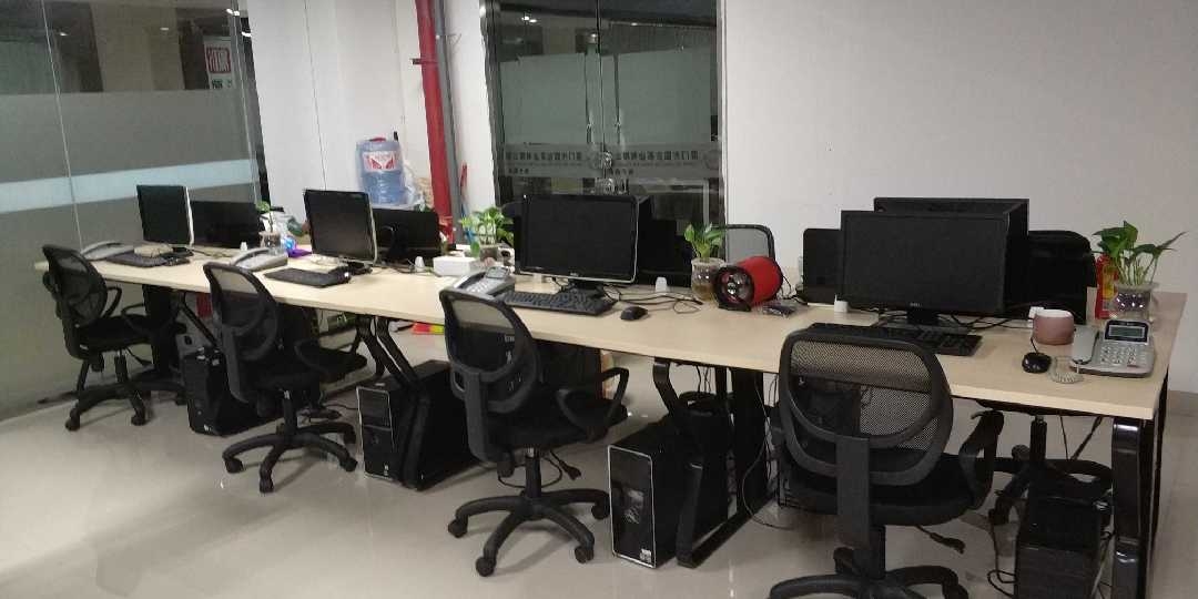 创新驱动未来 点晴网络科技的数字化转型之路